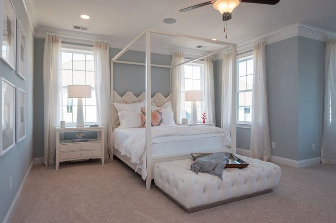 241 Bumble Way a Dan Ryan Builders Master Bedroom View in Summerville, SC