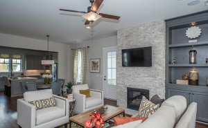 233 Bumble Way a FrontDoor Communities Fireplace View in Summerville, SC