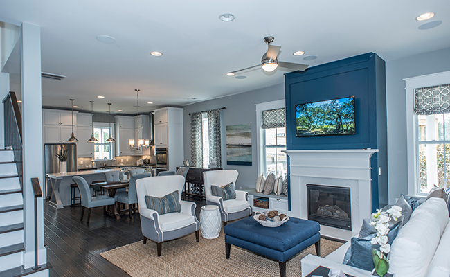 237 Bumble Way a FrontDoor Communities Fireplace View in Summerville, South Carolina