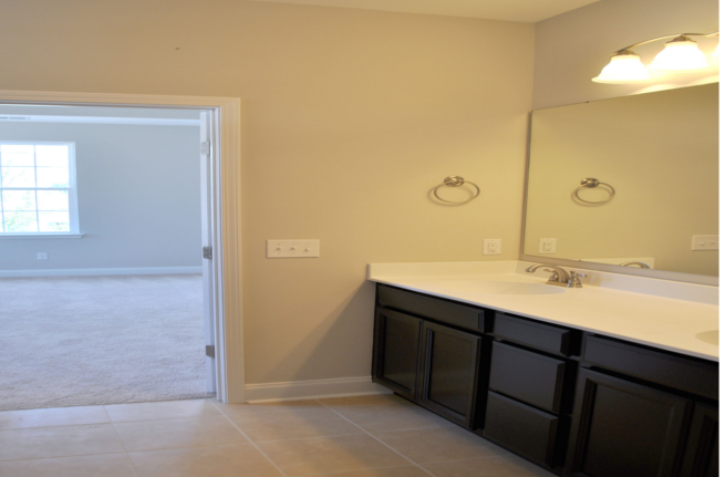 441 Watergrass Way a Sabal Homes Master Bathroom View in Summerville, SC