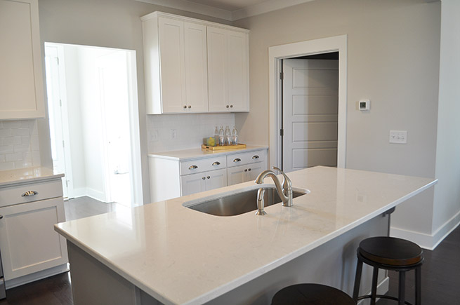 113-canopy-kitchen-2-web