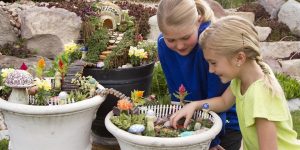 fairy-garden